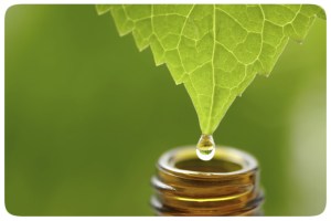 homeopatia en el embarazo